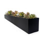 Modern Steel Trough Planter