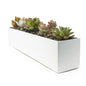 Modern Steel Trough Planter