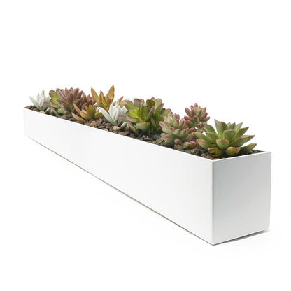 Modern Steel Trough Planter